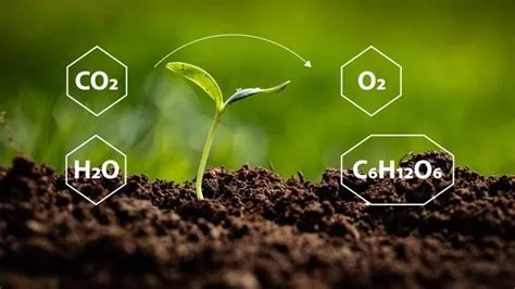 Kupferoxide Nanoröhren - Revolutionäre Werkstoffe für die Optimierung von Katalysatoren und Sensoren!