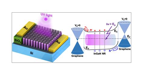 Xenon-Nanorods: Revolutionizing High-Performance Electronics and Enhanced Optical Applications!